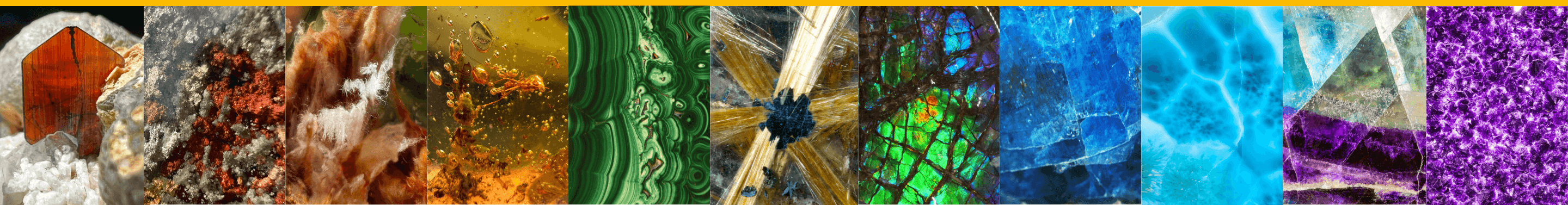 Image de diapositive